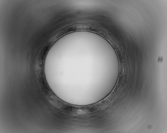 X0000103160737200808221151