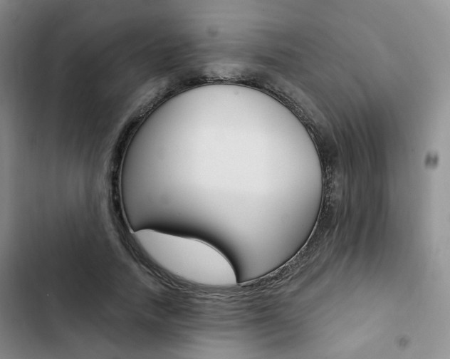 X0000103160738200808221151