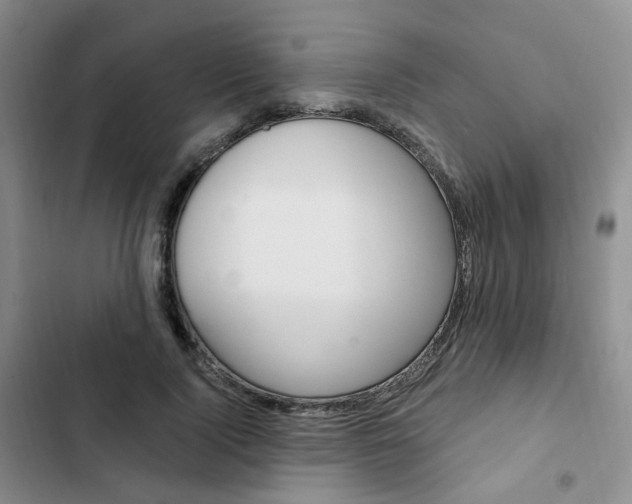 X0000103160740200808221151