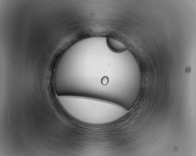 X0000103160742200808221151