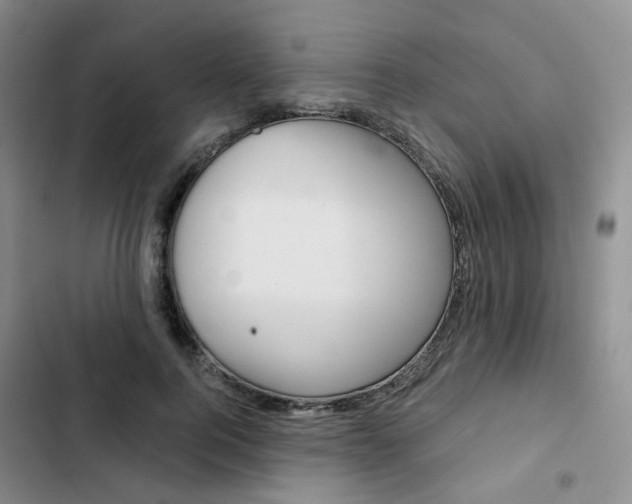 X0000103160744200808221151