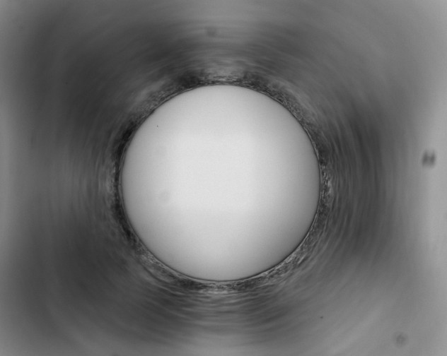X0000103160745200808221151