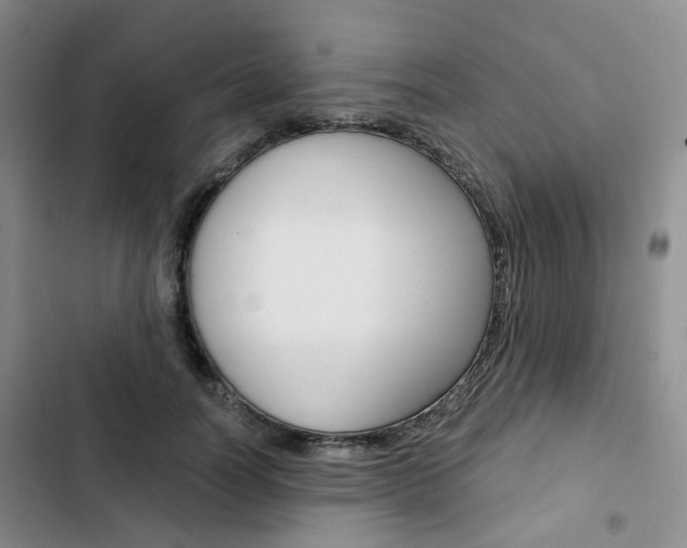 X0000103160746200808221151