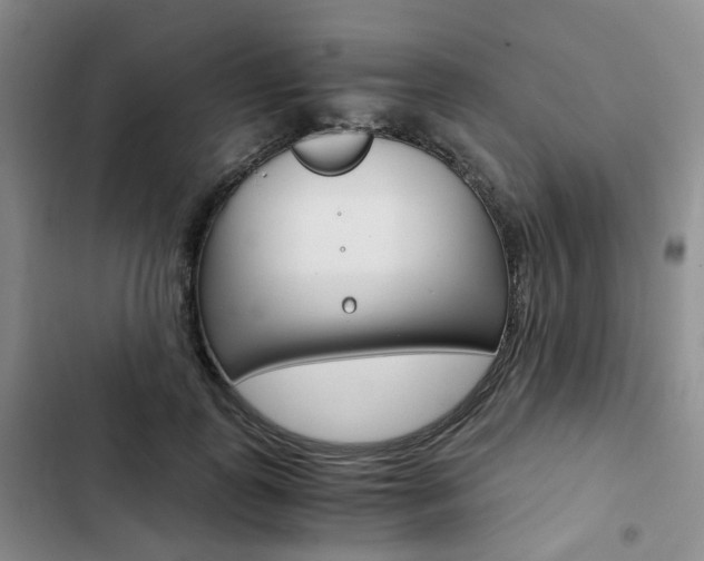 X0000103160747200808221151