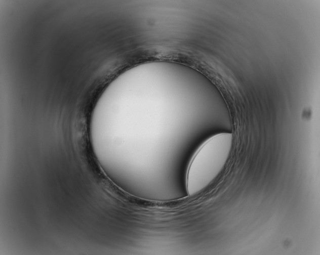 X0000103160748200808221151