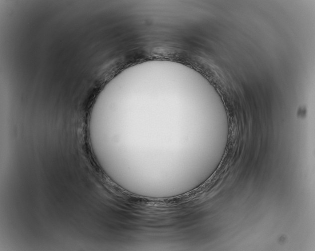 X0000103160749200808221151