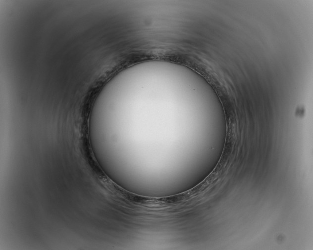 X0000103160750200808221151