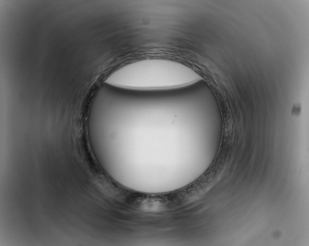 X0000103160751200808221151