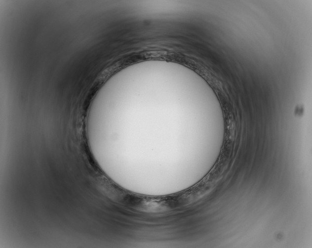 X0000103160753200808221151