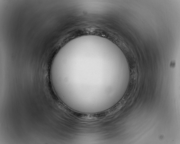X0000103160754200808221151