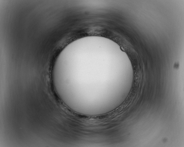 X0000103160755200808221151