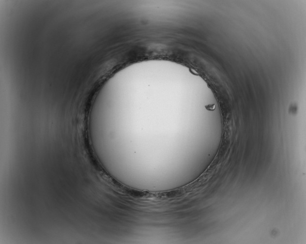X0000103160756200808221151