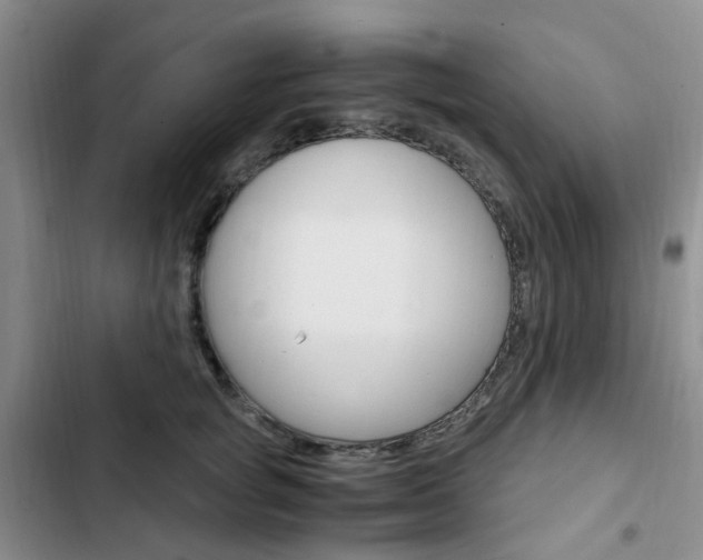 X0000103160757200808221151