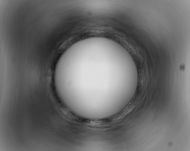 X0000103160758200808221151