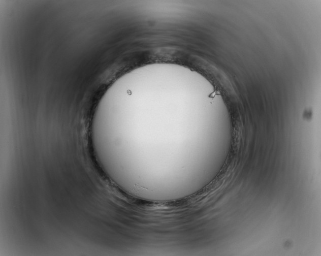 X0000103160759200808221151