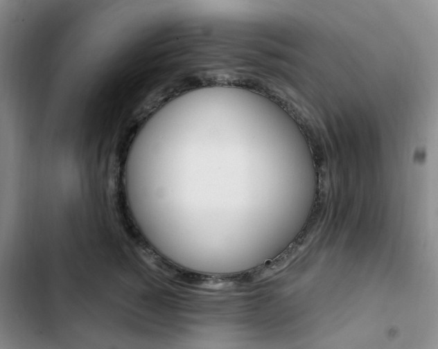 X0000103160760200808221151