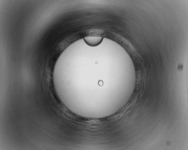 X0000103160761200808221152