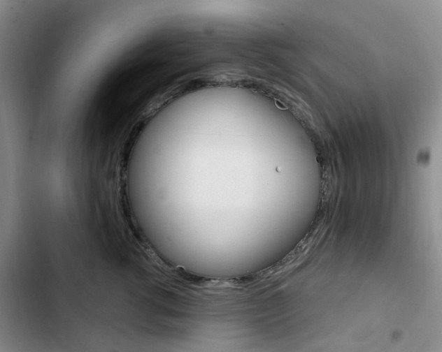 X0000103160762200808221152