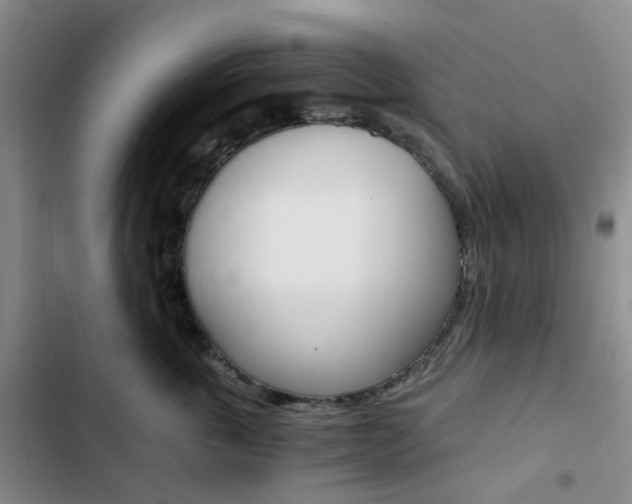X0000103160763200808221152