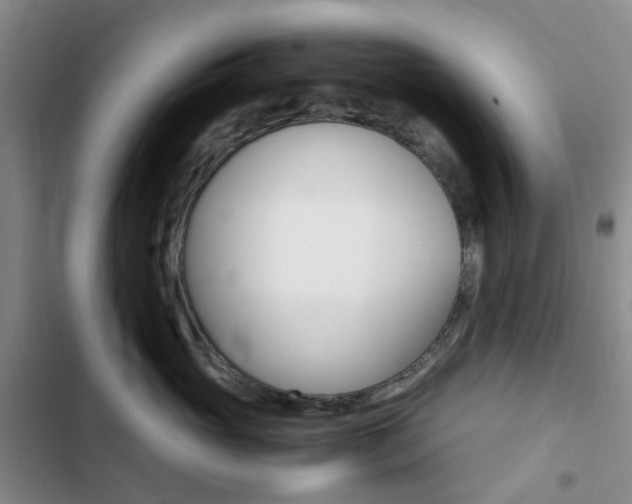 X0000103160765200808221152