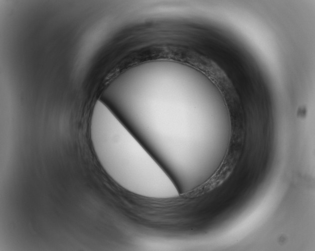 X0000103160766200808221152