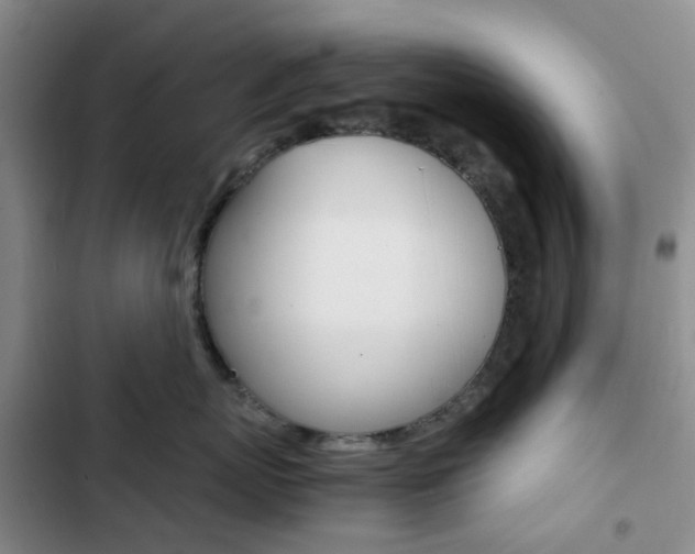 X0000103160767200808221152