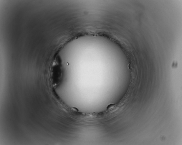 X0000103160768200808221152