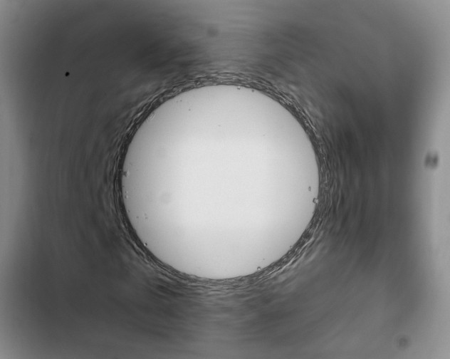 X0000103160769200808221151