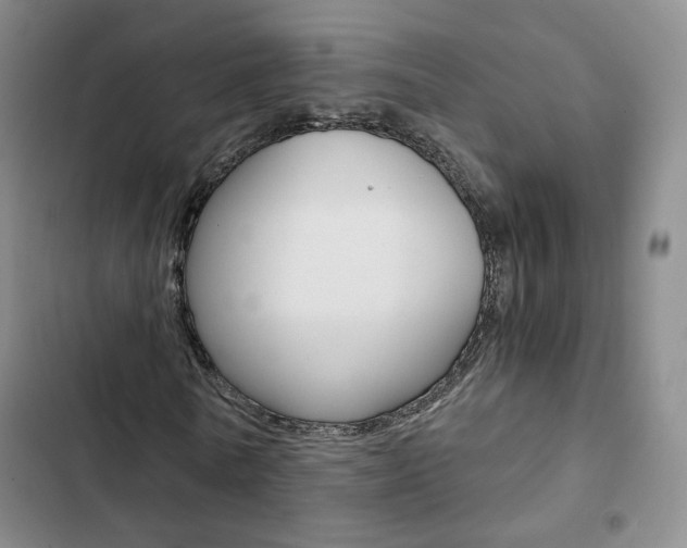 X0000103160770200808221151