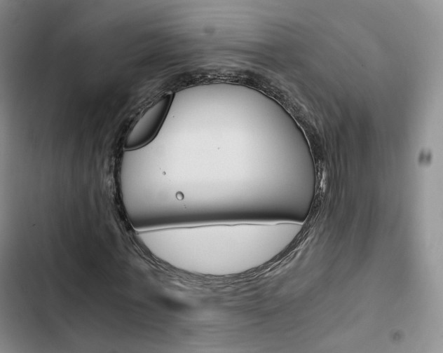 X0000103160771200808221151