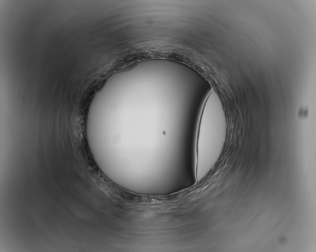X0000103160772200808221151