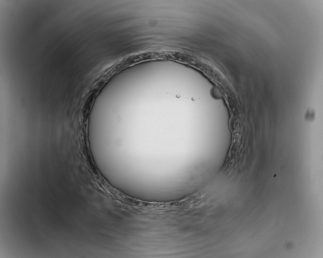 X0000103160773200808221151