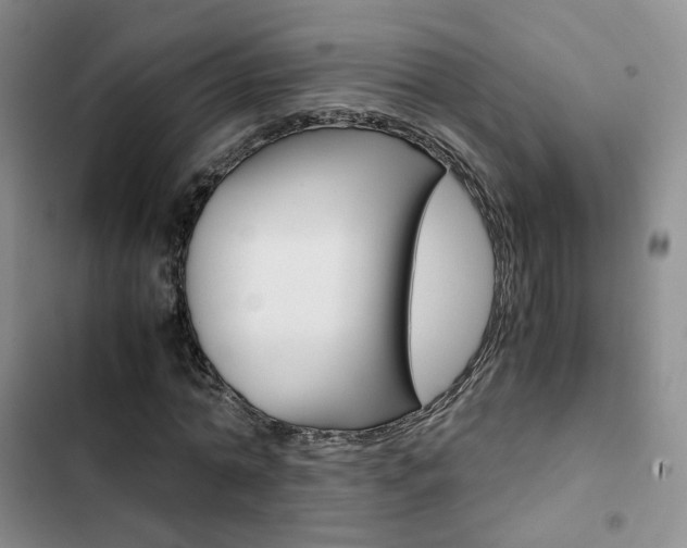 X0000103160774200808221151