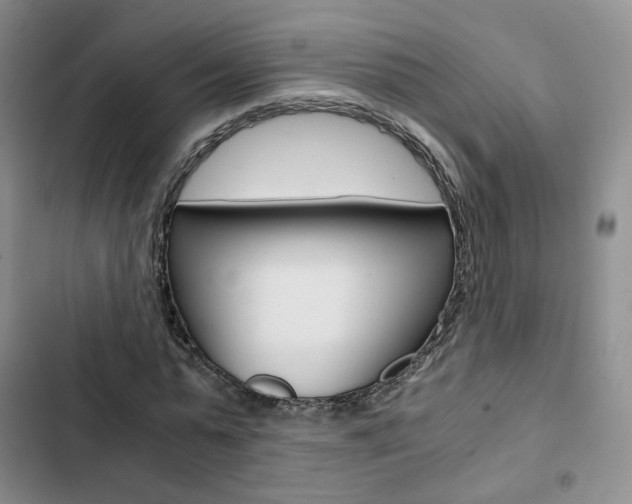 X0000103160775200808221151