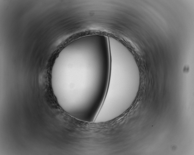 X0000103160776200808221151
