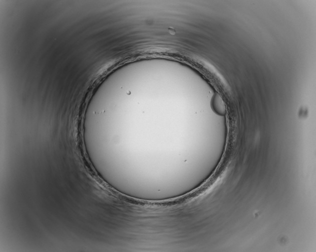 X0000103160777200808221151