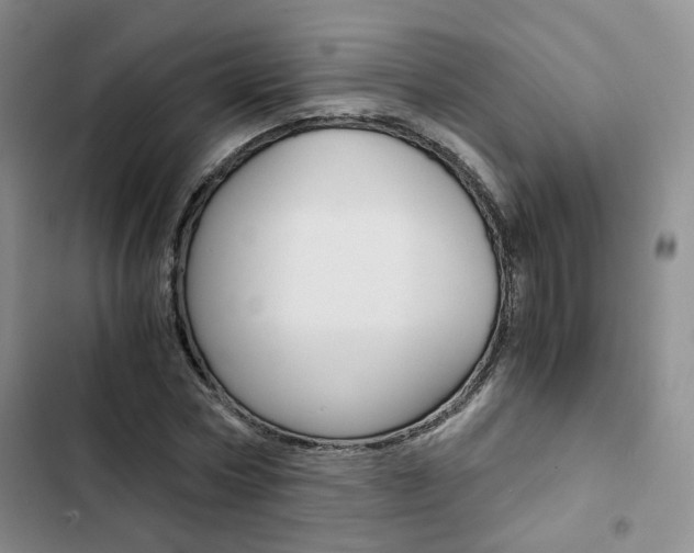 X0000103160778200808221151