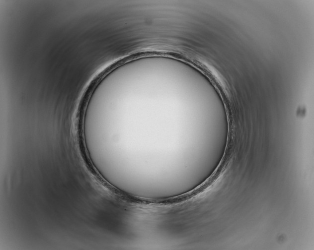 X0000103160779200808221151