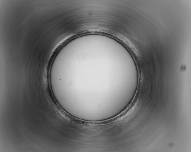 X0000103160782200808221151