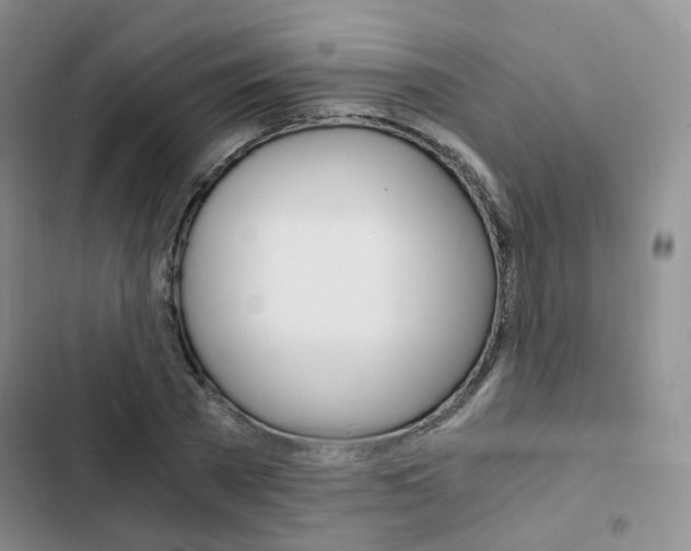 X0000103160785200808221151