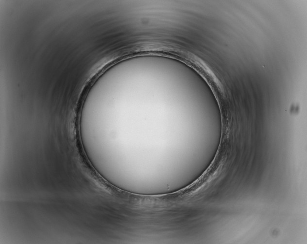 X0000103160786200808221151