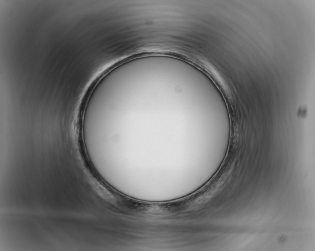 X0000103160787200808221151