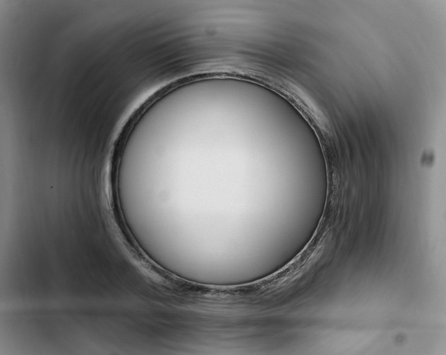 X0000103160788200808221151