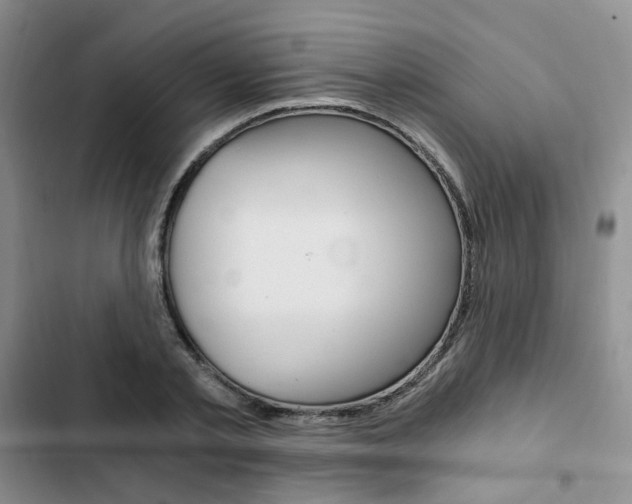 X0000103160789200808221151