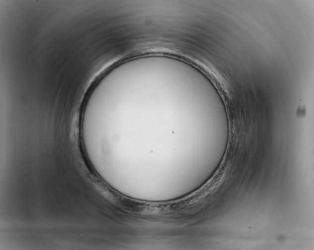 X0000103160790200808221150