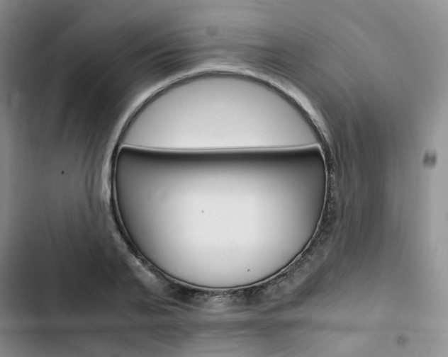 X0000103160791200808221150
