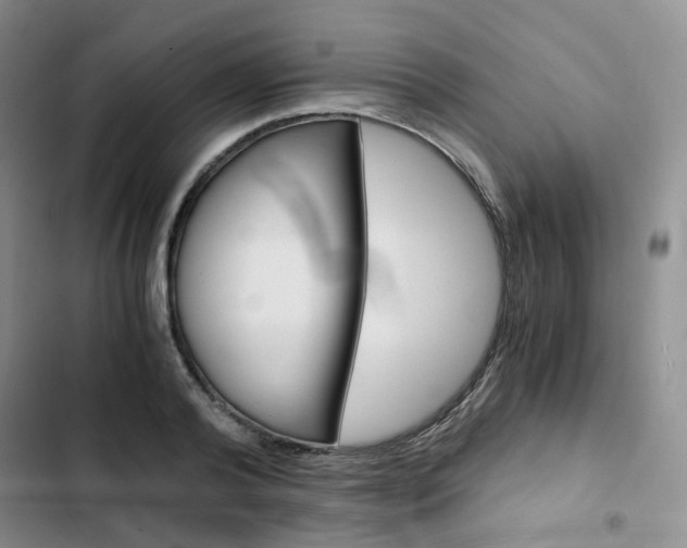 X0000103160792200808221150