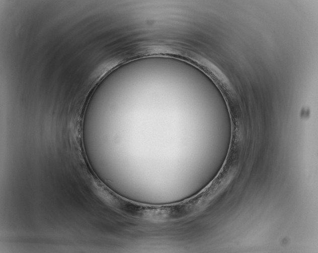 X0000103160793200808221150