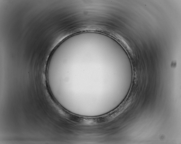 X0000103160794200808221150