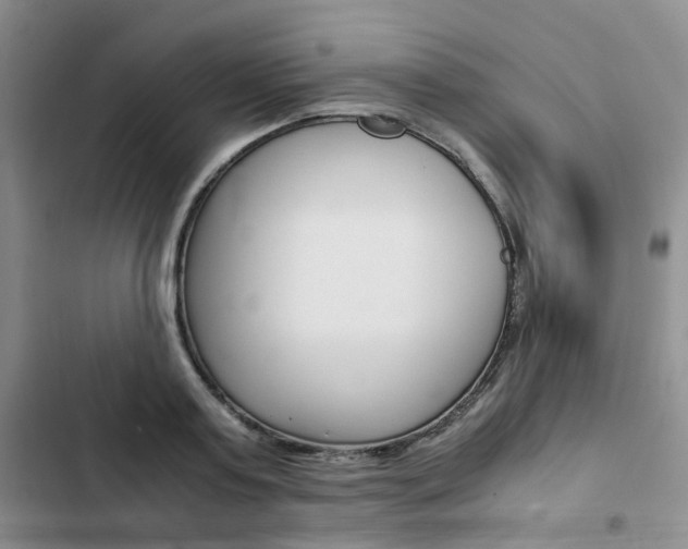 X0000103160795200808221150